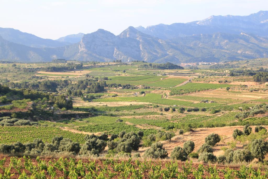 Ca La Leonor, Ecoturisme Terra Alta Villa Bot ห้อง รูปภาพ